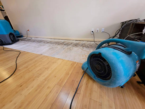 Professional Water Damage Repair technician working in Mount Carmel, SC